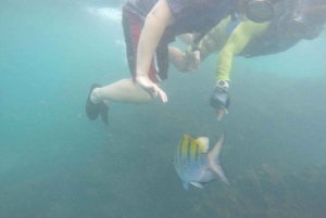 マヌエル・アントニオエコ・マリタイム・アドベンチャー