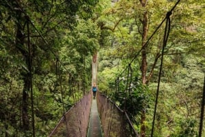 Manuel Antonio: Excursión a los Puentes Colgantes y las Cascadas