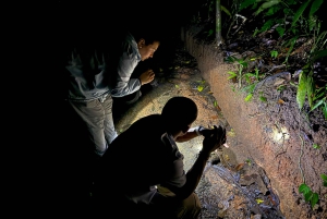 Manuel Antonio: Tour noturno na selva e Jardim das Borboletas
