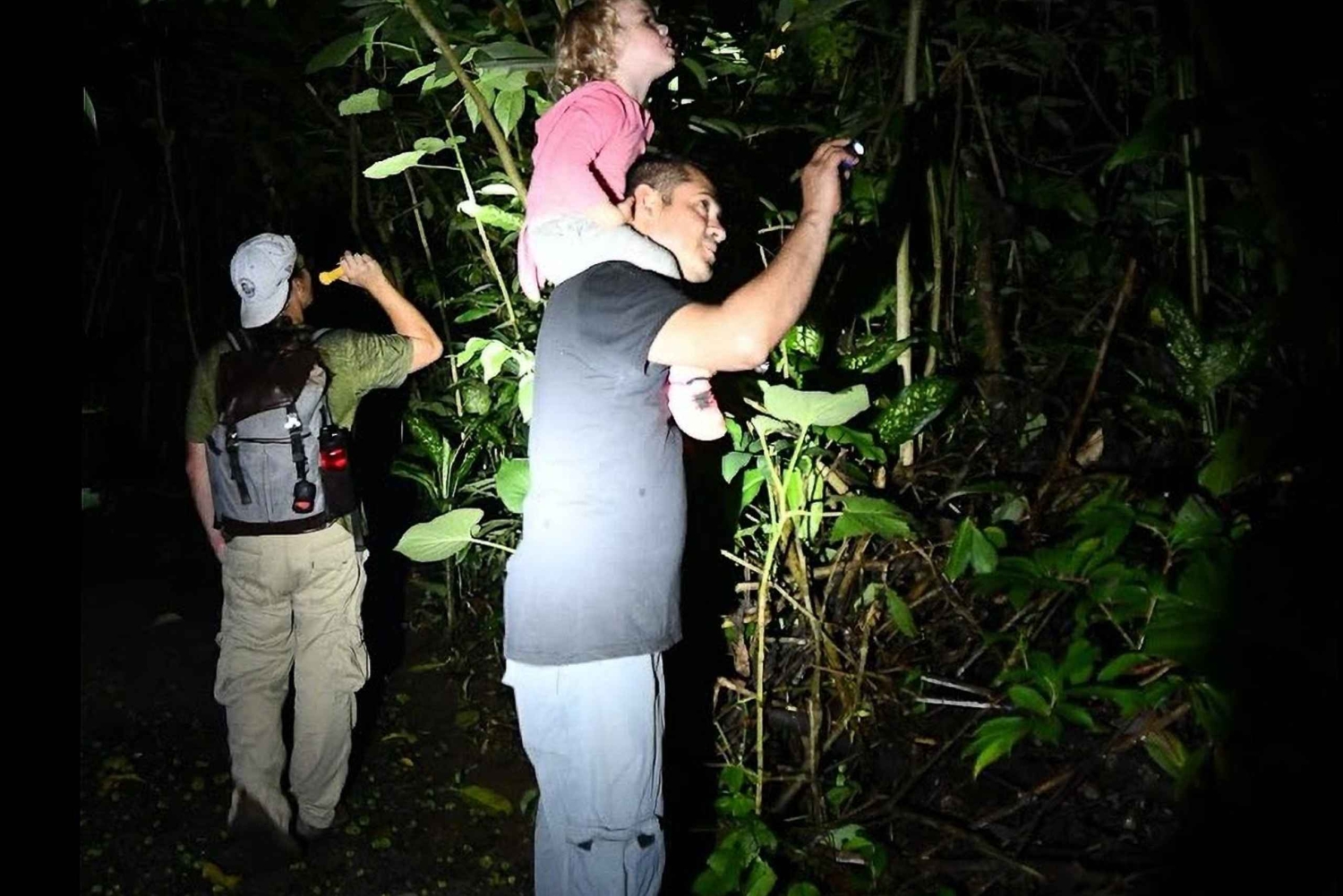 Manuel Antonio: Jungle Night Tour in a Private Forest