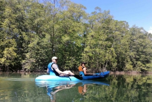 Manuel Antonio: Kayak Tour in the Mangroves to see animals