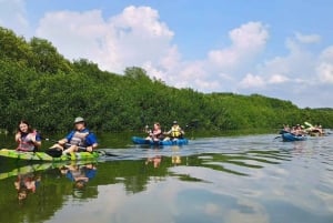 Manuel Antonio: Kayak Tour in the Mangroves to see animals