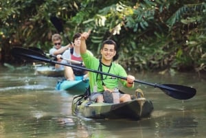 Manuel Antonio: Kayak Tour in the Mangroves to see animals