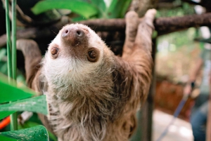 Manuel Antonio: visite guidée du sanctuaire de la faune KSTR
