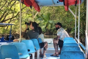 Manuel Antonio : Mangrove boat tour to see animals