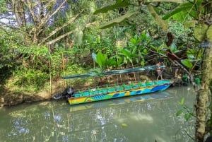 Manuel Antonio : Mangrove boat tour to see animals