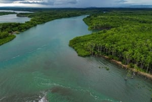 Manuel Antonio Mangrove Boat Tour