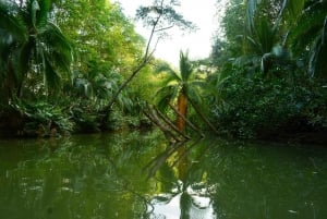 Manuel Antonio Mangrove Boat Tour