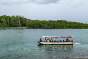 Manuel Antonio Mangrove Boat Tour