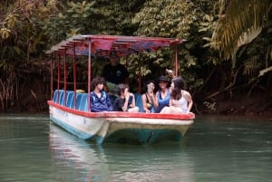 Manuel Antonio Mangrove Boat Tour