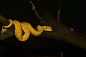 Manuel Antonio Mangrove Boat Tour