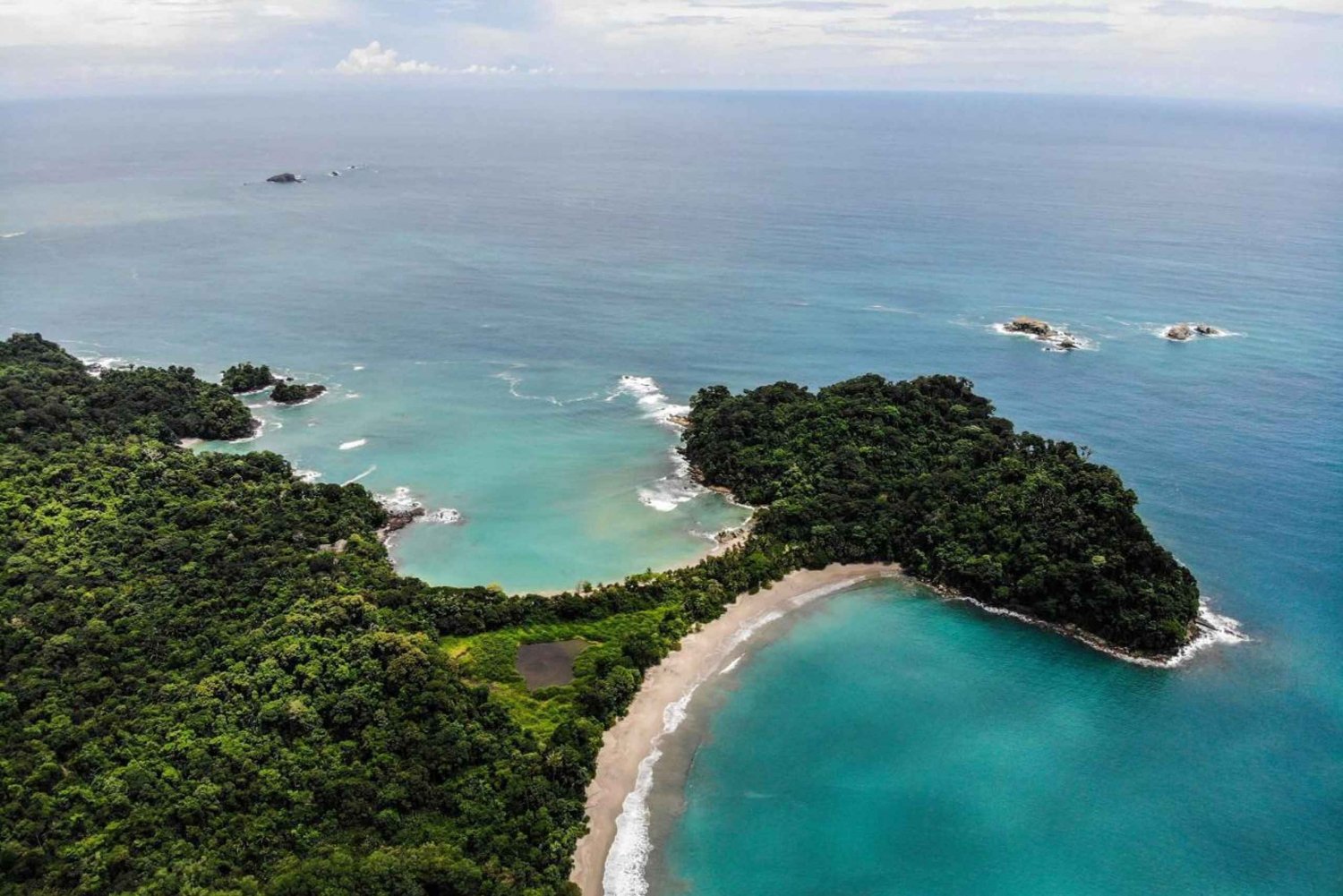Manuel Antonio: Manuel Antonio National Park Guided Day Trip