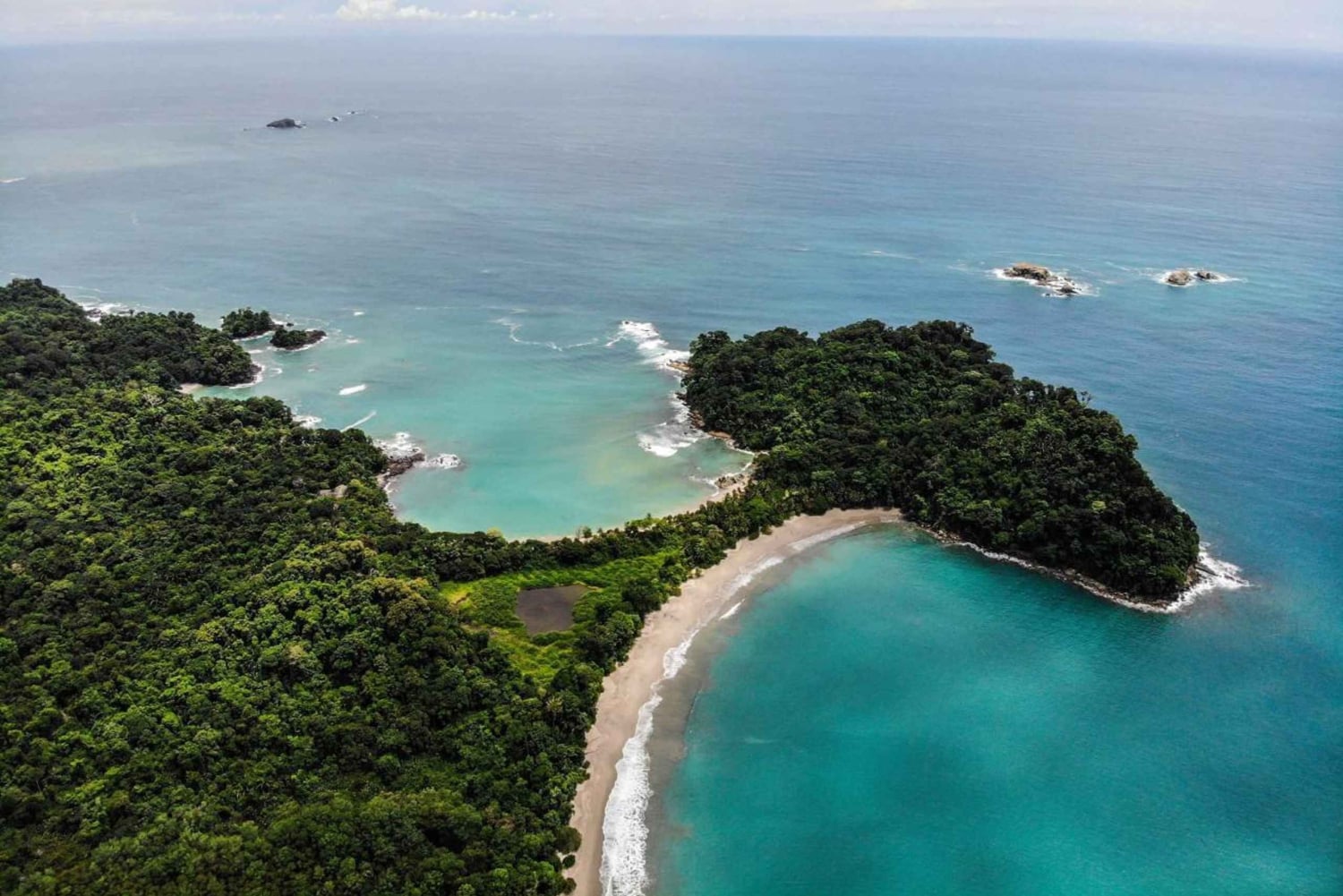 Manuel Antonio: Manuel Antonio National Park Guided Day Trip