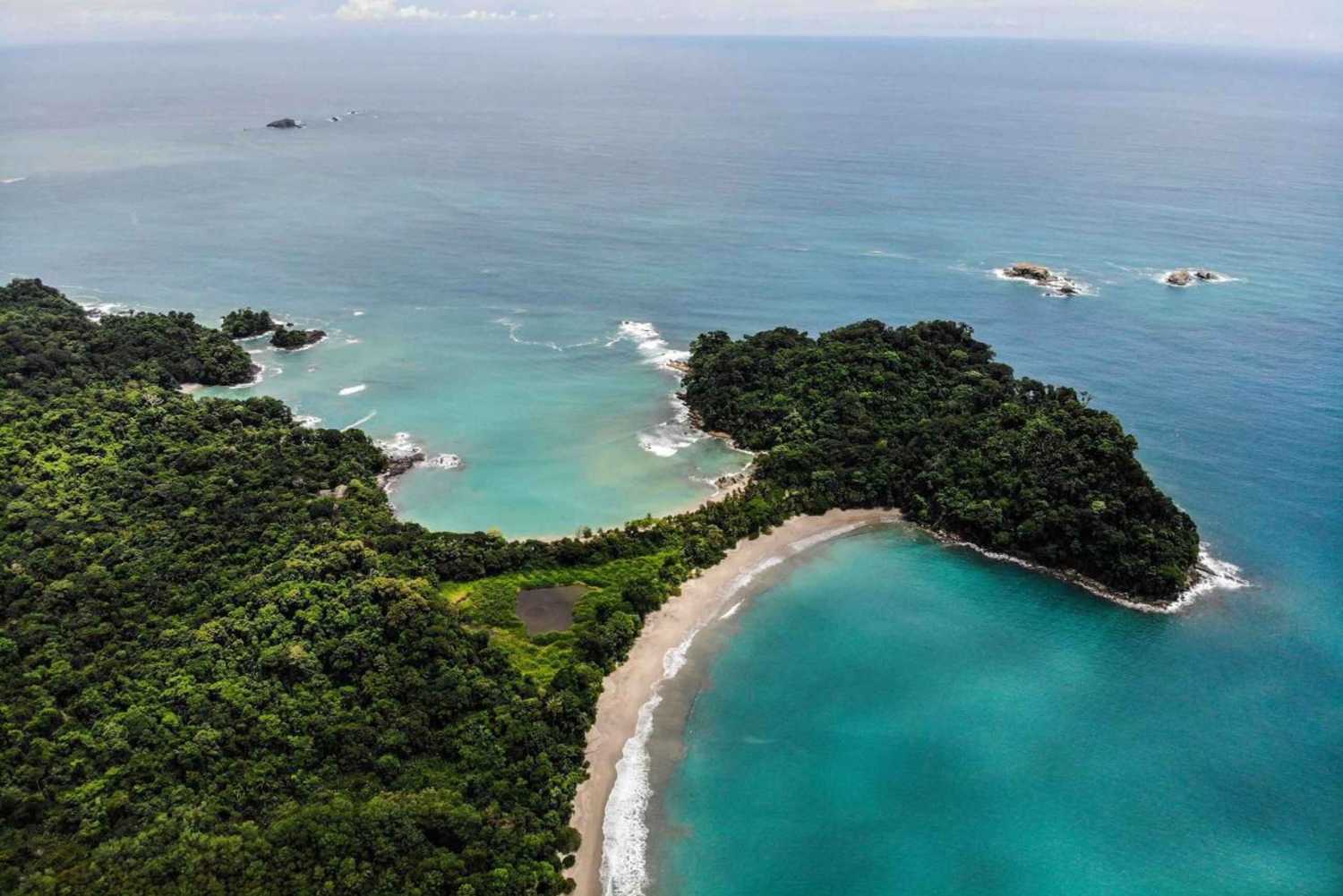 Manuel Antonio: Manuel Antonio National Park Guided Day Trip