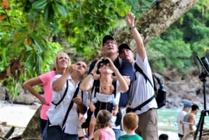 Manuel Antonio: Manuel Antonio National Park Guided Day Trip