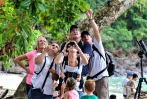 Manuel Antonio: Manuel Antonio National Park Guided Day Trip