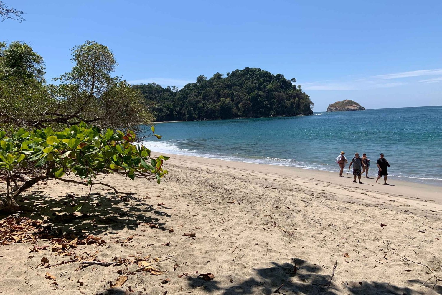 Parque Nacional Manuel Antonio: Excursión de 8 horas con todo incluido