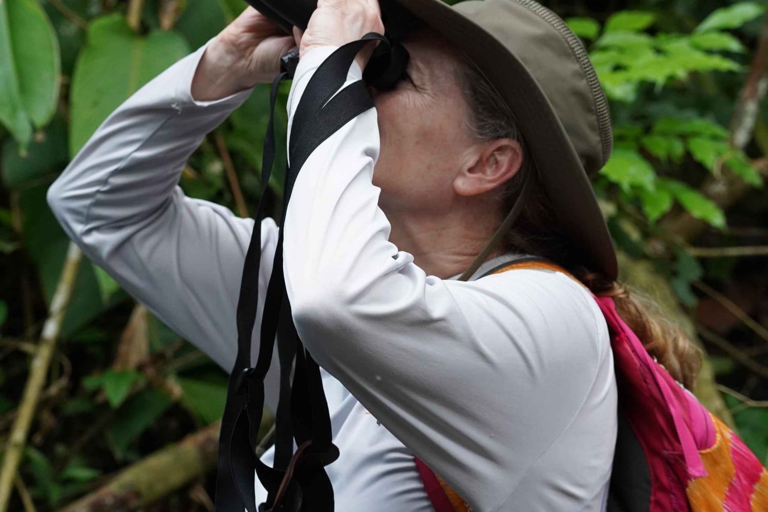 Manuel Antonio nationalpark: Guidad tur med allt inkluderat