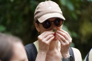 Manuel Antonio nationalpark: Guidad tur med allt inkluderat