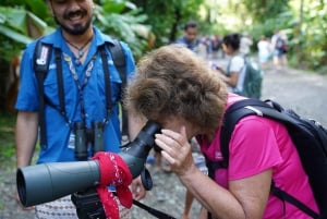 Manuel Antonio nationalpark: Guidad tur med allt inkluderat