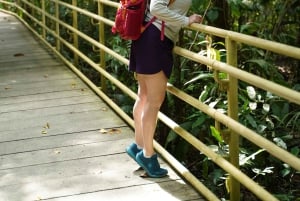 Manuel Antonio nationalpark: Guidad tur med allt inkluderat