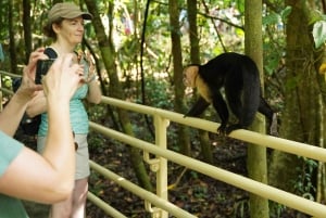 Manuel Antonio nationalpark: Guidad tur med allt inkluderat