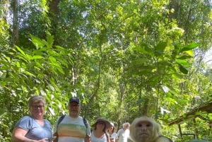 Manuel Antonio National Park: Wanderung zur Tierbeobachtung