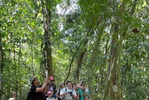 Manuel Antonio National Park: Wanderung zur Tierbeobachtung