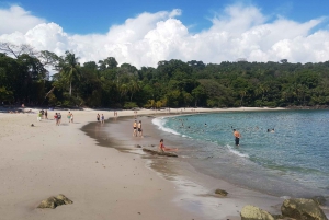 Manuel Antonio National Park Combo Tour from San Jose