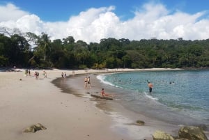 Kombiresa till Manuel Antonio nationalpark från San Jose