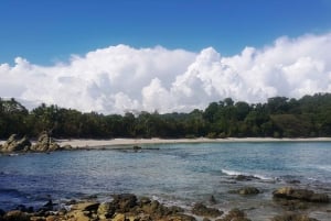 Kombiresa till Manuel Antonio nationalpark från San Jose