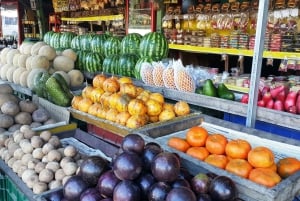 Kombiresa till Manuel Antonio nationalpark från San Jose