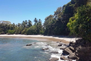 Manuel Antonio National Park Combo Tour from San Jose