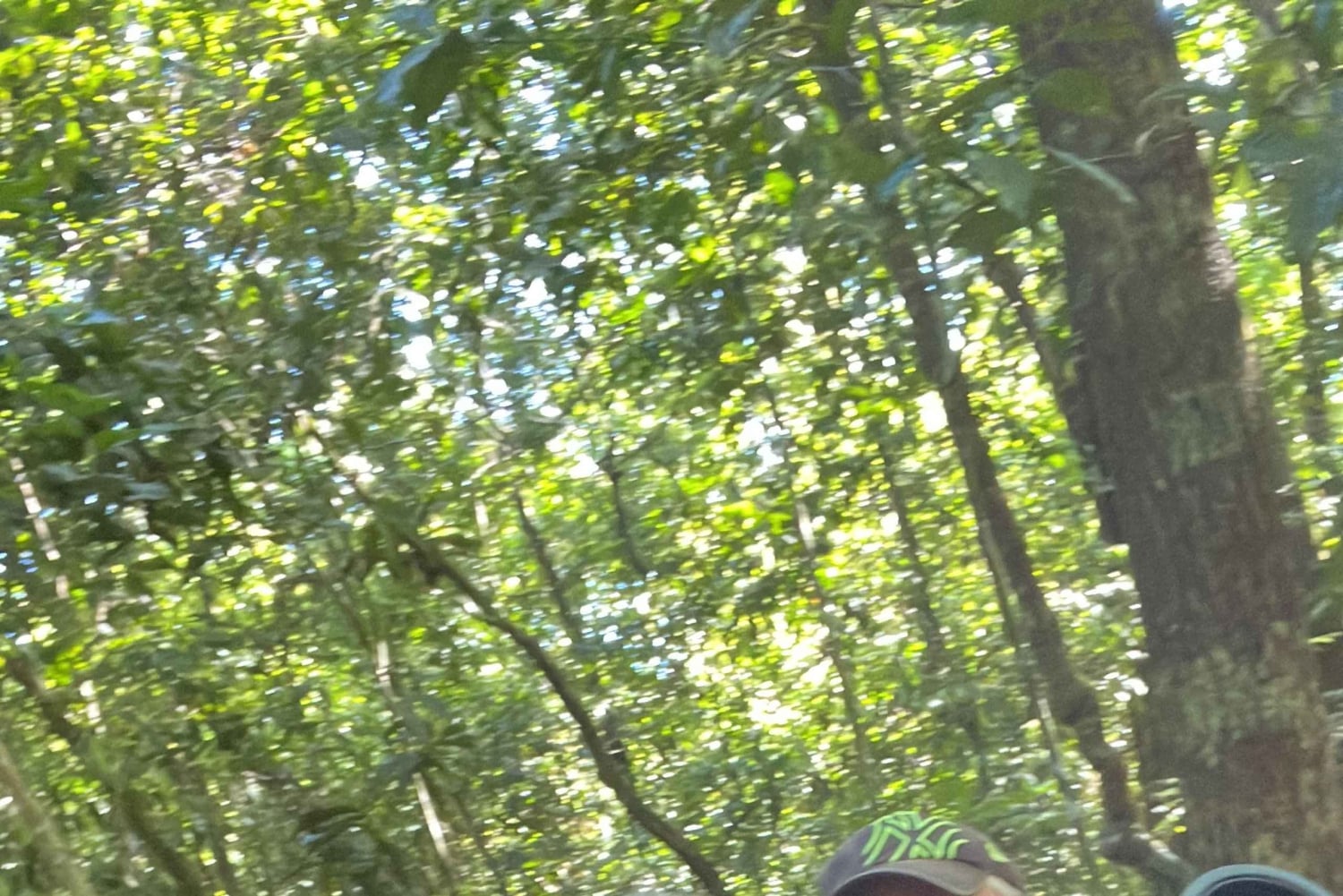 Национальный парк Мануэля Антонио, полная дикой природы