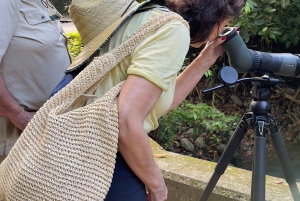 Национальный парк Мануэля Антонио, полная дикой природы