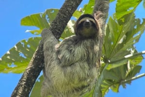 Manuel Antonio National Park: Guided Tour with Beach Time