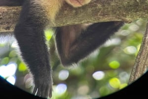 Manuel Antonio National Park: Guided Tour with Beach Time