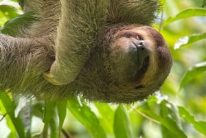 Manuel Antonio National Park: Guided Tour with Beach Time