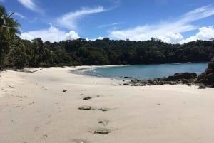 Manuel Antonio nationalpark guidad tur