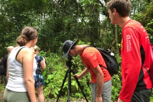 Costa Rica: Visita guiada al Parque Nacional Manuel Antonio