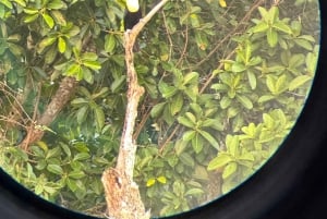 Manuel Antonio National Park: Guided Tour