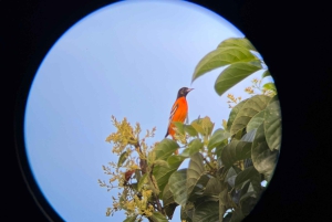 Manuel Antonio National Park: Guided Tour