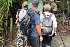 Guidet tur i Manuel Antonio nasjonalpark