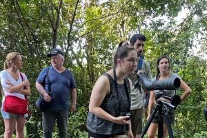 Guidet tur i Manuel Antonio nasjonalpark