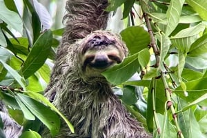 Guidet tur i Manuel Antonio nasjonalpark