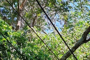 Omvisning i Manuel Antonio nasjonalpark