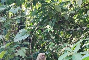 Omvisning i Manuel Antonio nasjonalpark