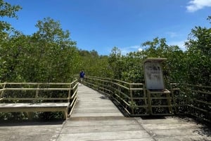 Manuel Antonio National Park: Animal watching hike