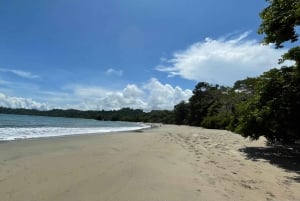 Manuel Antonio National Park: Animal watching hike