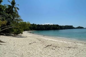 Manuel Antonio National Park: Animal watching hike